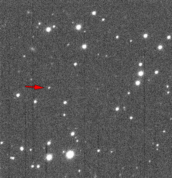 Asteroids Galore! 10,000th Near-Earth Object Discovered